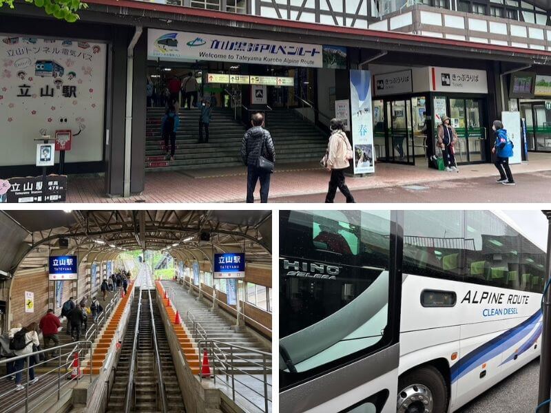 Outsmarting the Crowds: A Local Agency's Playbook